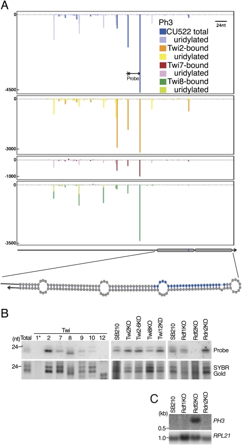 Figure 5.