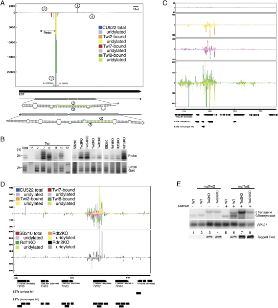 Figure 6.