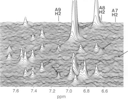 graphic file with name pnas01070-0235-a.jpg