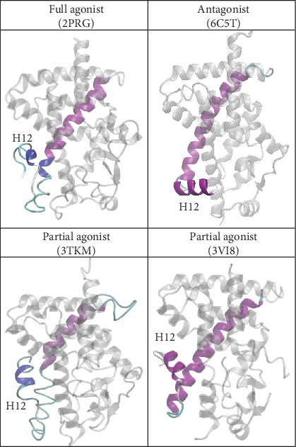 Figure 14