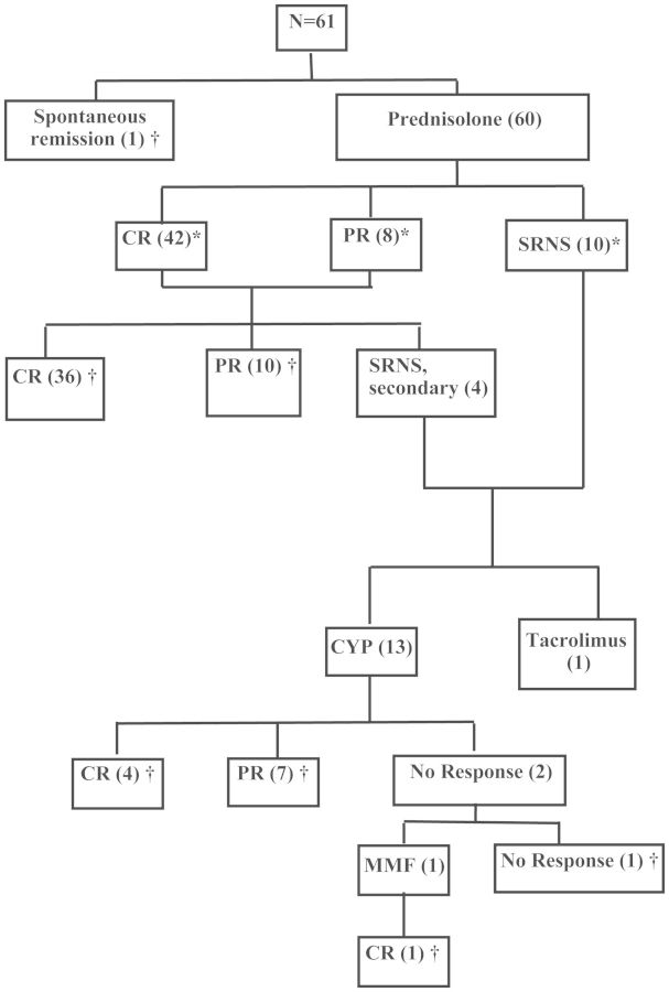 Fig. 1.