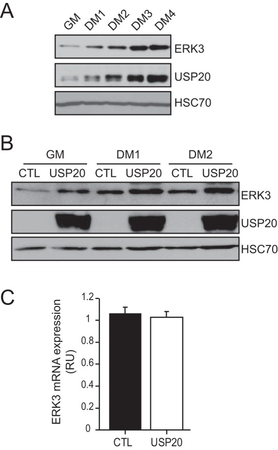 FIG 7