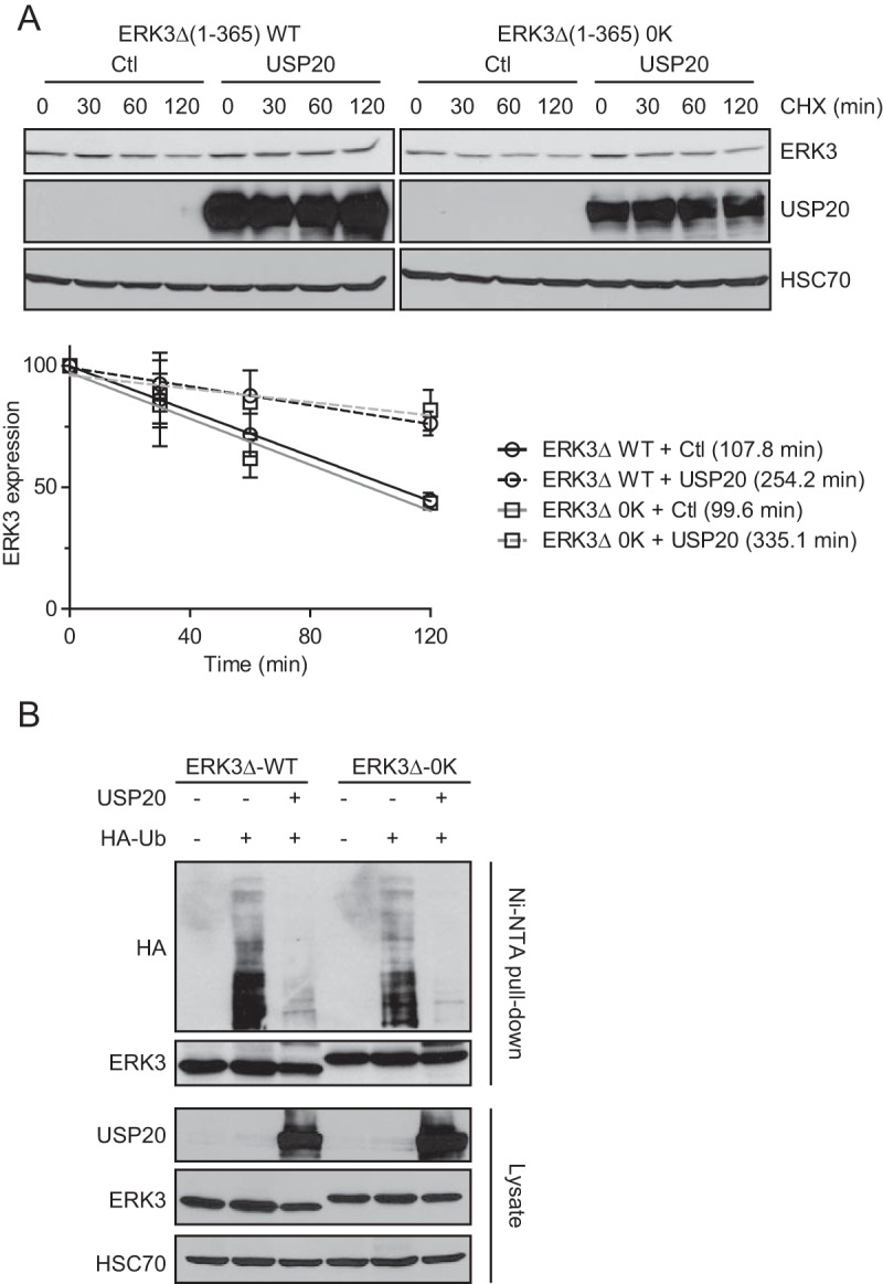 FIG 6