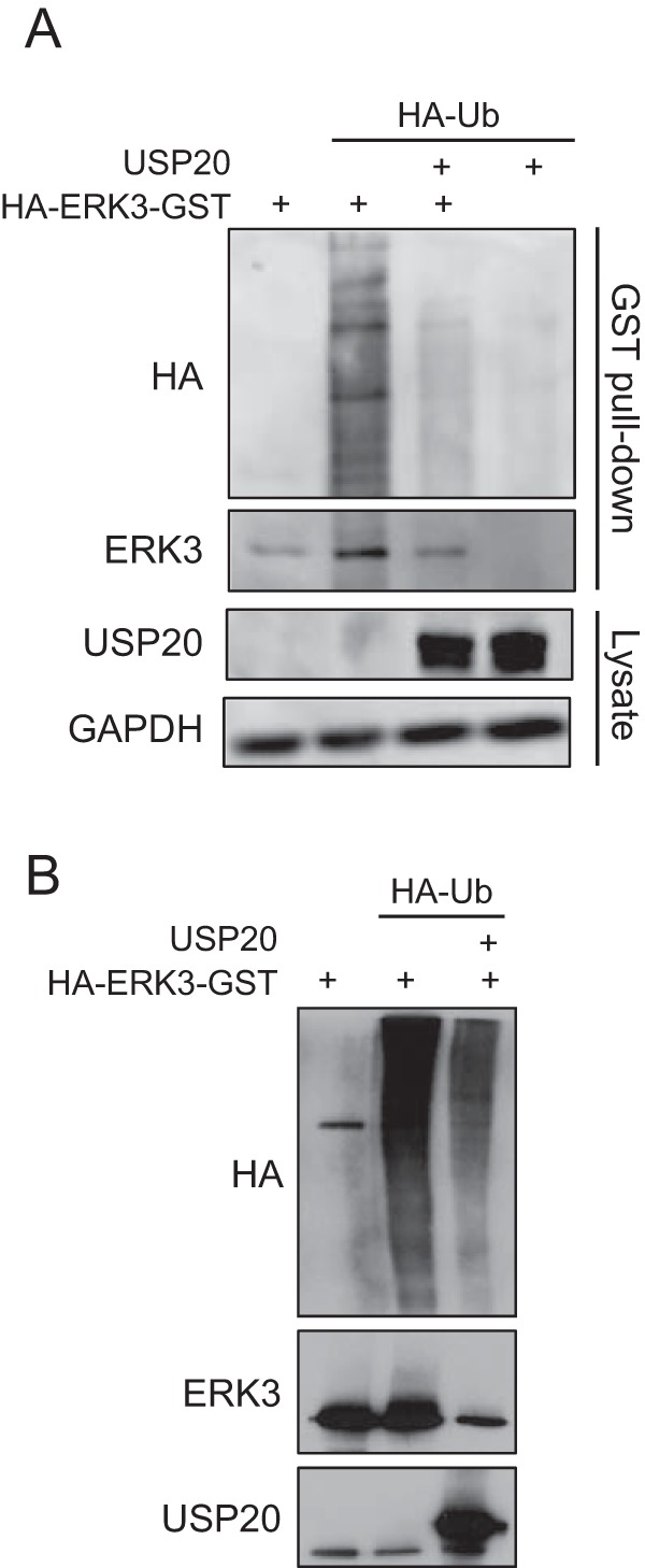 FIG 5