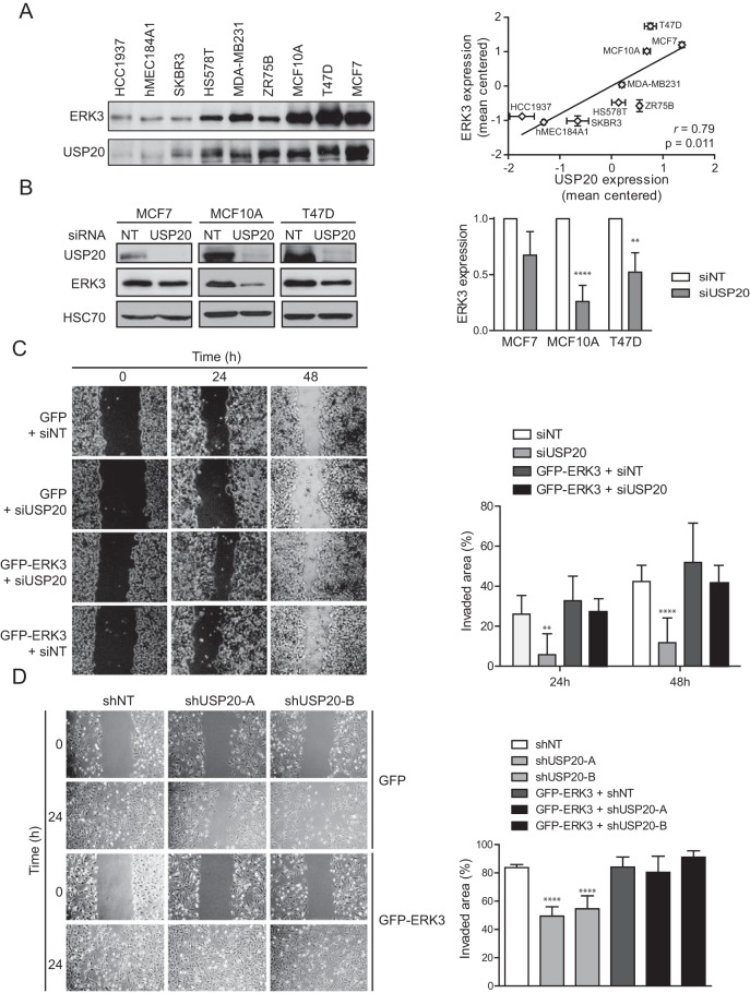 FIG 9