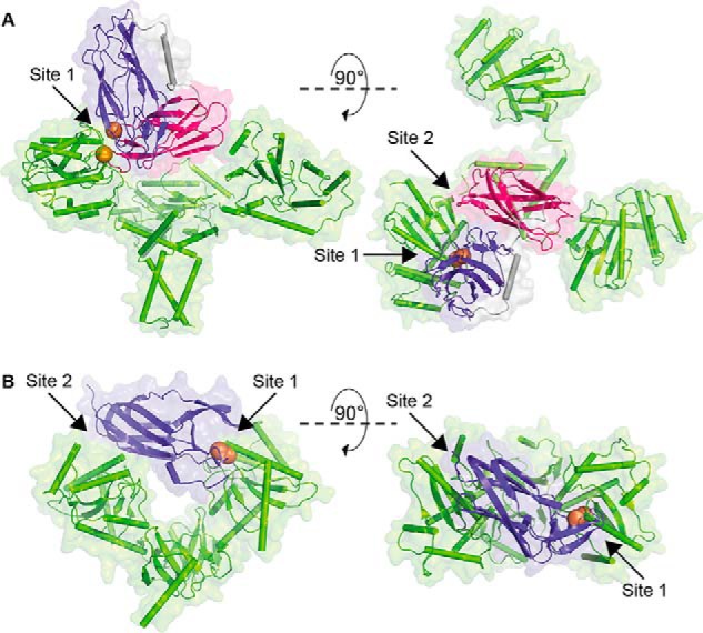 Figure 9.