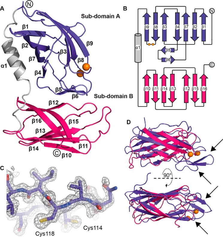 Figure 3.