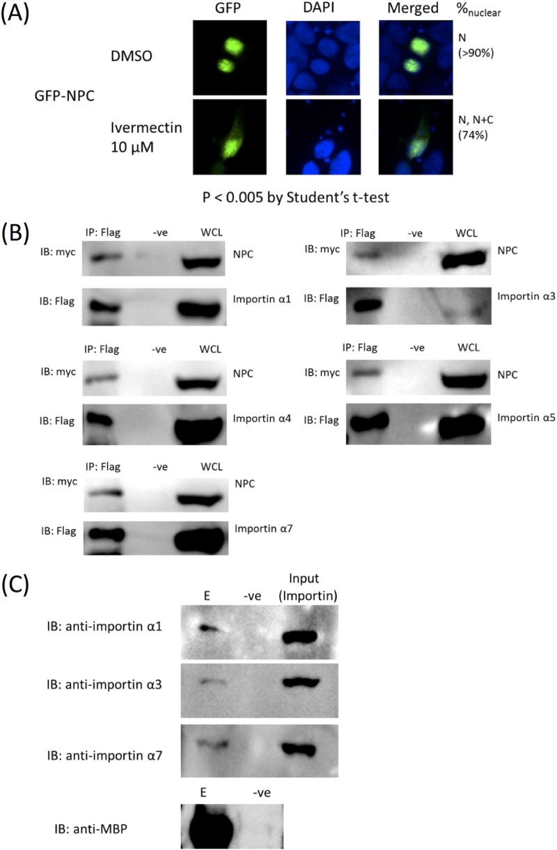 FIG 3