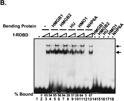 FIG.8.