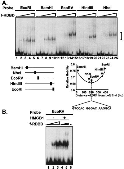 FIG. 7.