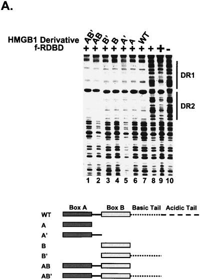 FIG.8.