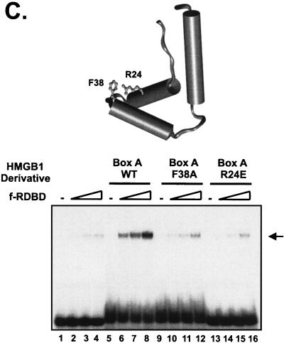 FIG.8.