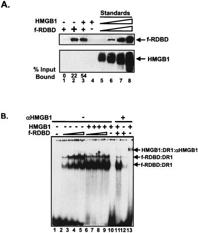 FIG. 5.