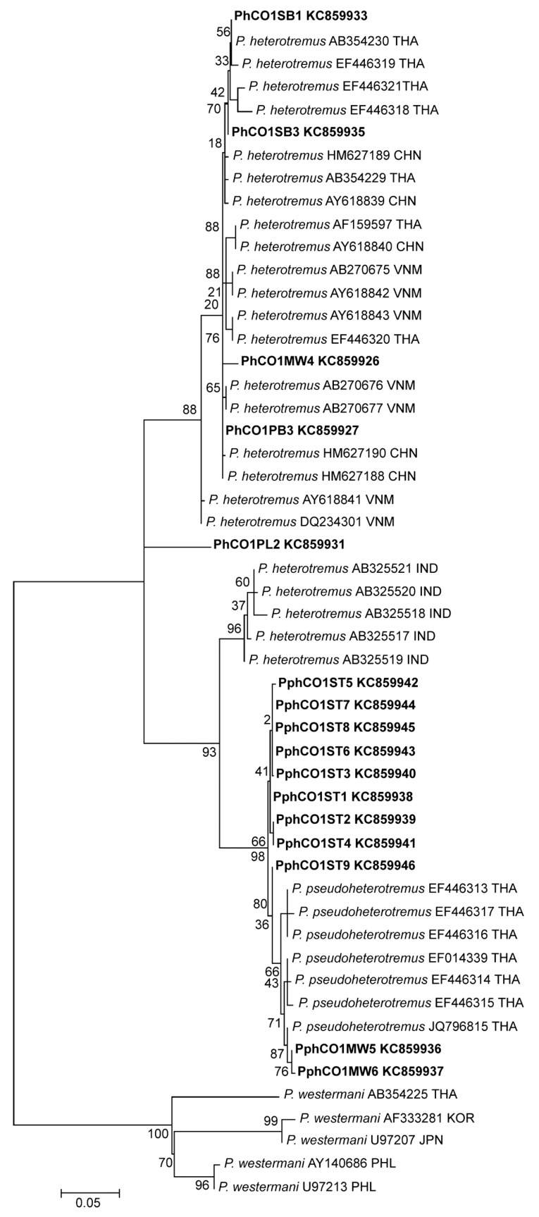 Fig. 3