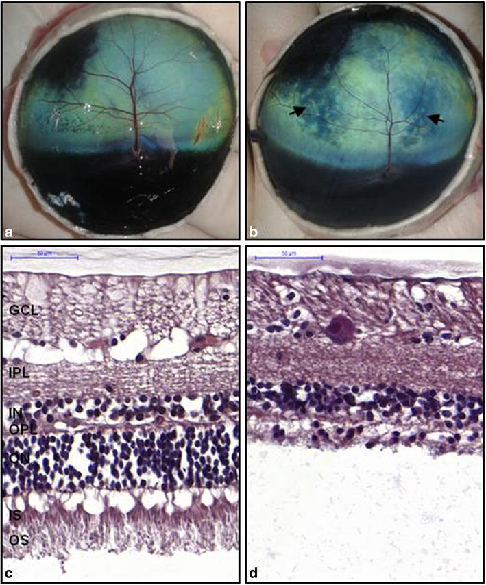 Fig. 3