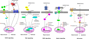 Fig. 3.