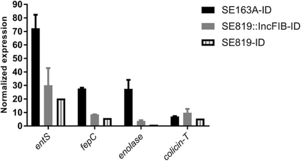 Fig. 2