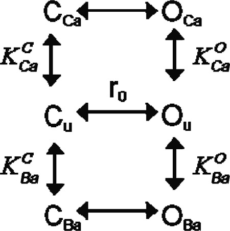 graphic file with name JGP_201210878_Scheme1.jpg