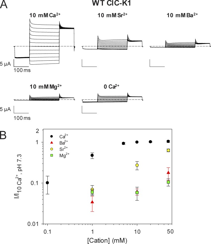 Figure 10.