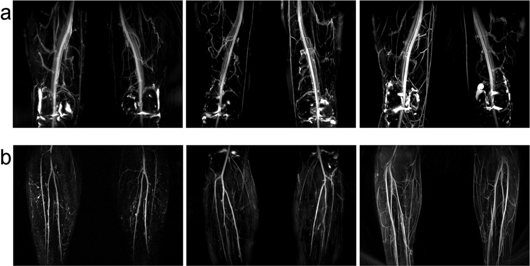 FIG. 8