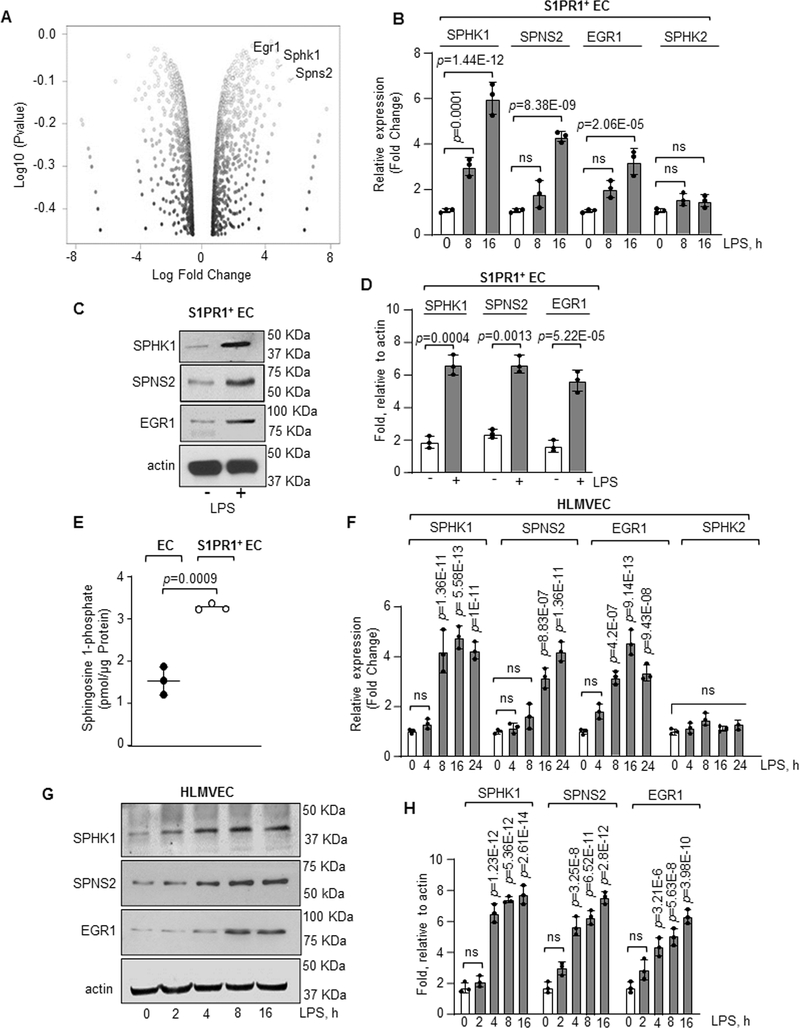 Figure 4: