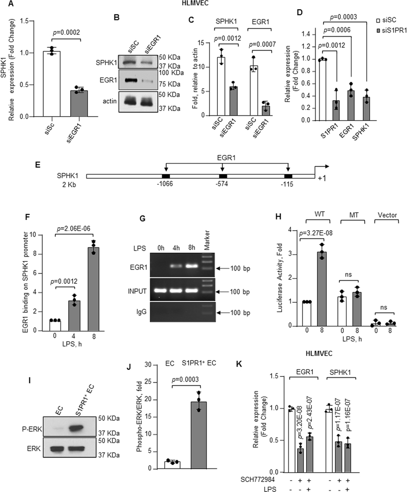 Figure 5: