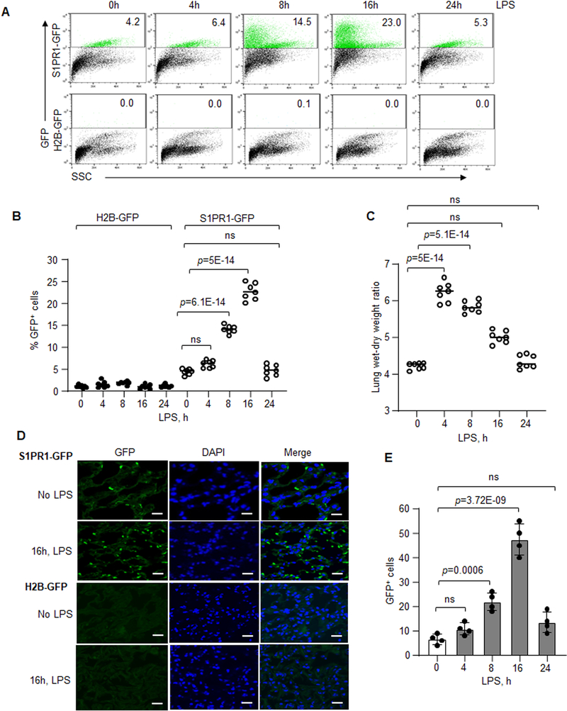 Figure 2: