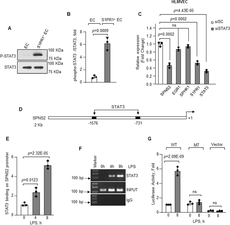 Figure 6: