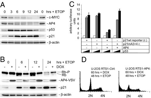 Fig. 4.