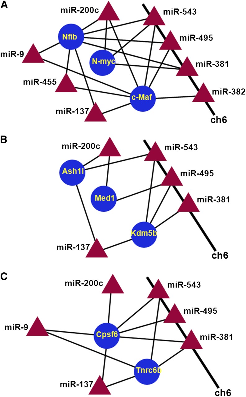 Figure 7