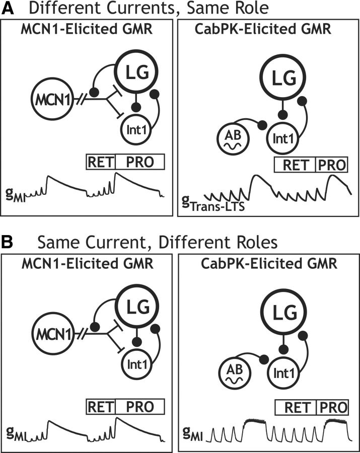 Figure 14.