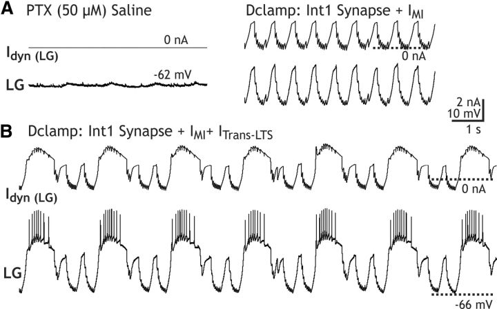 Figure 12.