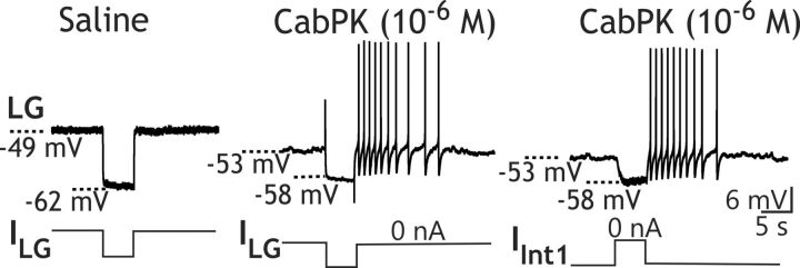 Figure 6.