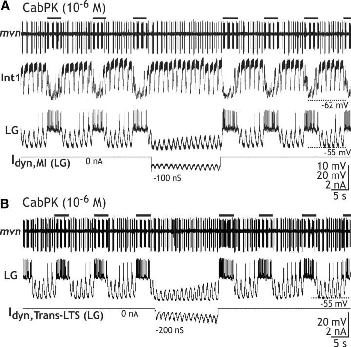 Figure 10.