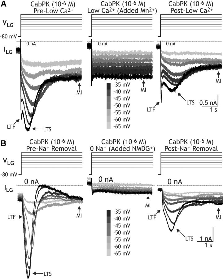 Figure 5.