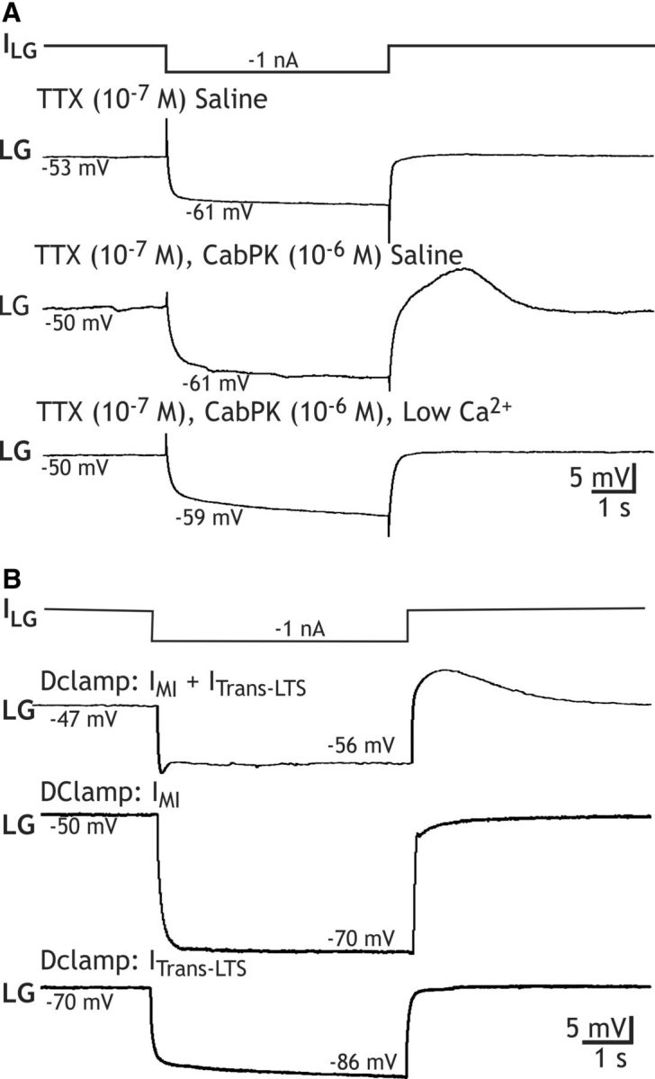 Figure 7.