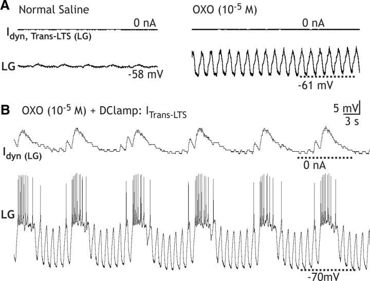 Figure 11.