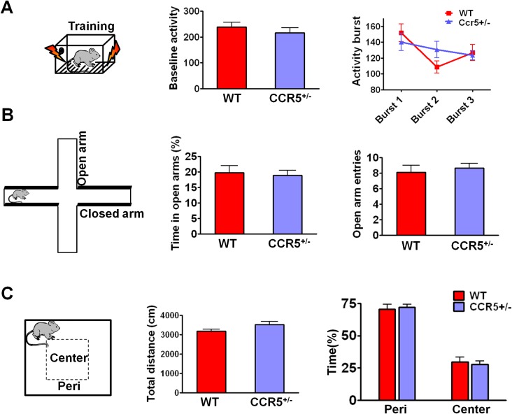 Figure 1—figure supplement 3.