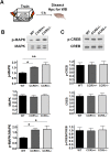 Figure 2—figure supplement 2.