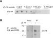 Figure 10—figure supplement 1.