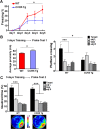 Figure 4—figure supplement 1.