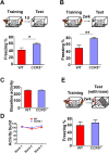 Figure 1—figure supplement 2.