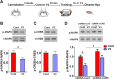 Figure 11.