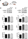 Figure 2—figure supplement 3.