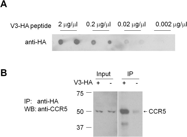 Figure 10—figure supplement 1.