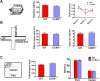 Figure 1—figure supplement 3.