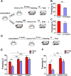 Figure 10.