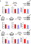 Figure 4—figure supplement 3.