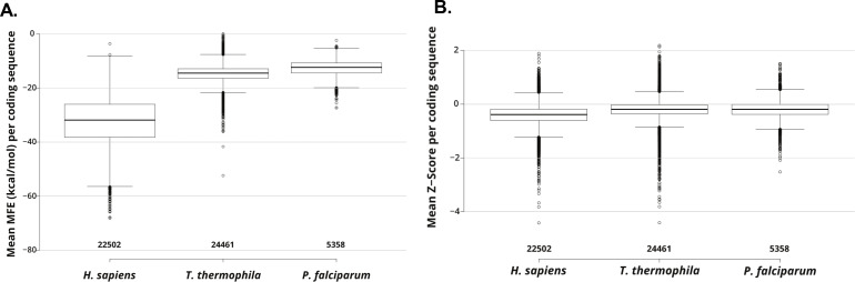 Figure 4—figure supplement 5.