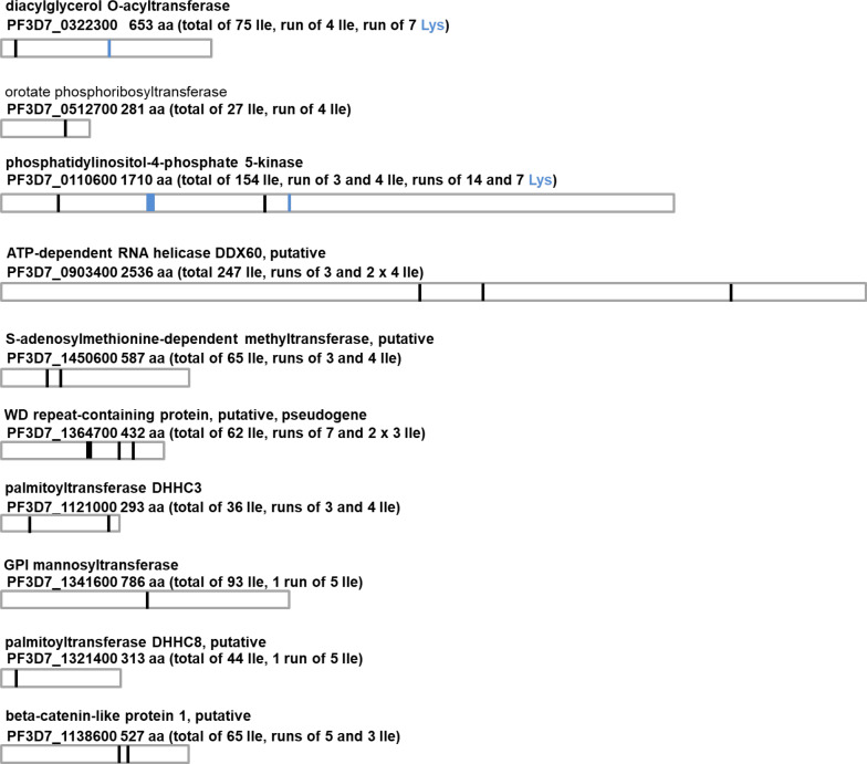 Figure 6—figure supplement 1.